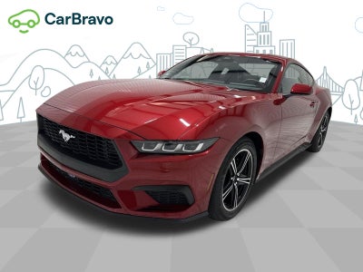 2024 Ford Mustang EcoBoost Fastback